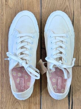 Mad Love Fran White Canvas 1.5” Platform Lace Up Sneaker Shoe Woman’s  10 NEW